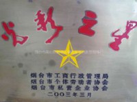 荣耀之星